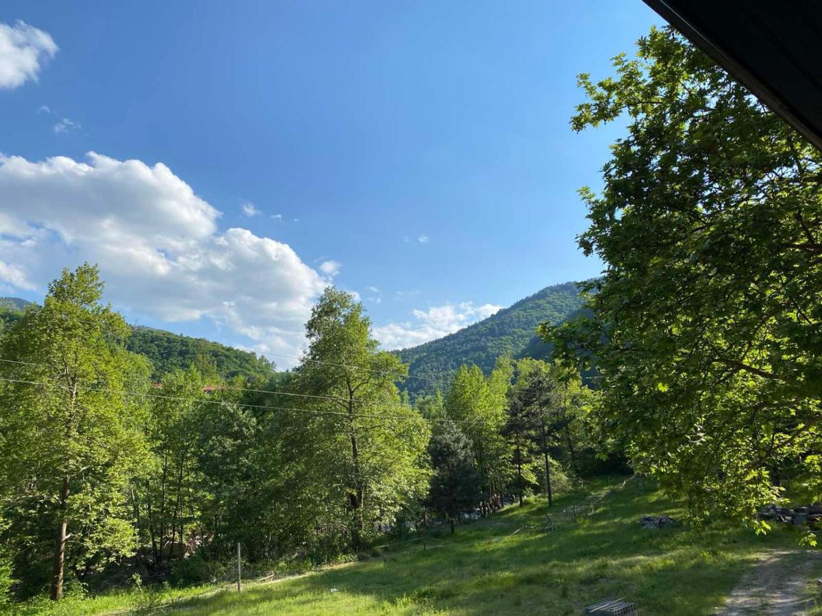 Complex Magic Of The Rhodopes Hotel Bachkovo Exterior foto