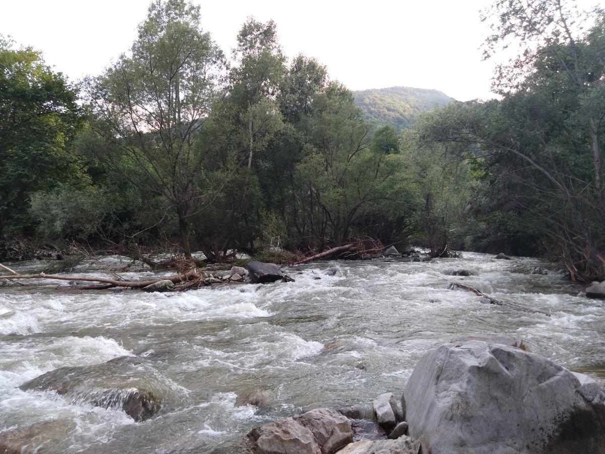 Complex Magic Of The Rhodopes Hotel Bachkovo Exterior foto